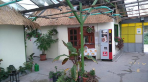 Гостиница Rastlinky.sk Garden Centre Reed Guestrooms, Братислава